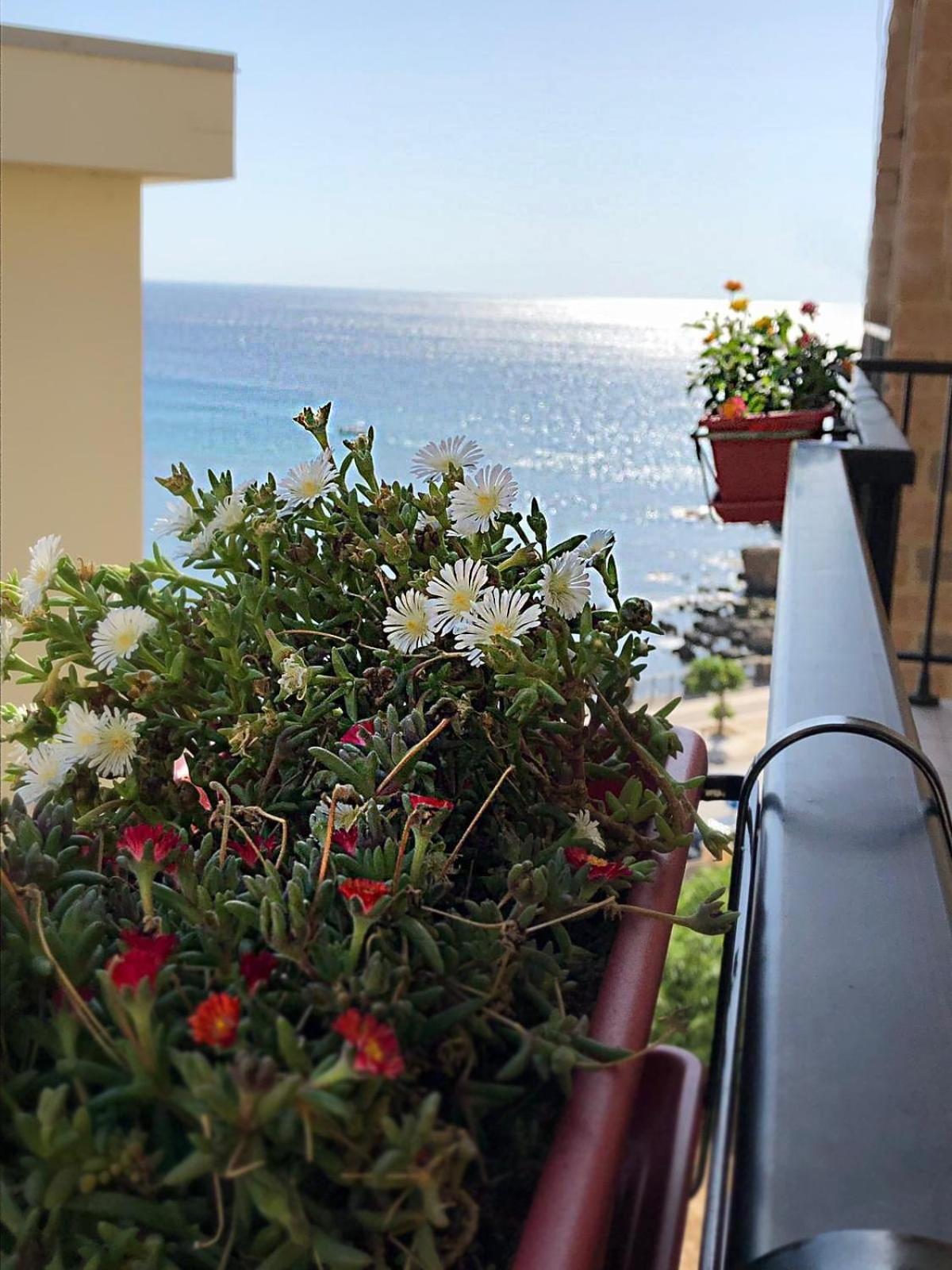 Alegria * Alghero